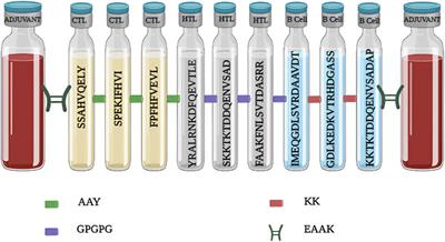 Tackling suppressive cancer microenvironment by NARF-derived immune modulatory vaccine and its validation using simulation strategies